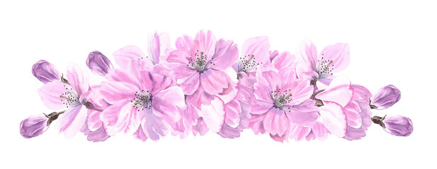 Obraz na płótnie Canvas Watercolour Sakura spring flowers illustration border. Seasonal Cherry blossom decor. Isolated background. Hand-painted. Botanical Floral elements. For Greeting cards, banner, invitation. 