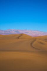 Sand dunes in the desert - 