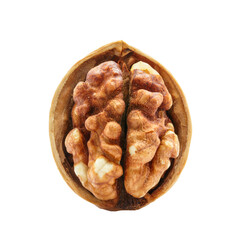 close-up walnut with shell on white background 