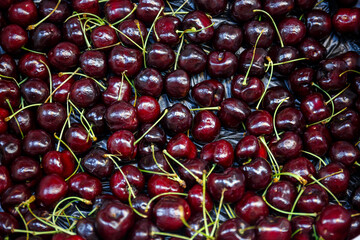 Close up of pile of ripe cherries fruit with stalks background