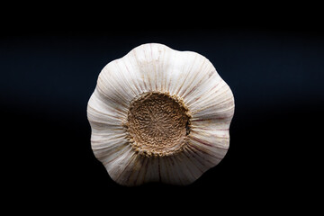 garlic bulb isolated on dark background