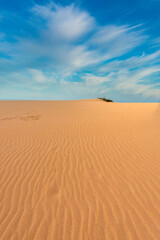 Fototapeta na wymiar Arid landscape with sea and beautiful blue sky in the taroa dunes. Guajira, Colombia. 