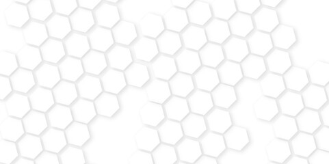 Abstract background honeycomb white and grey.ideas for your design banners , book, Website work, stripes, tiles,Futuristic abstract banner.Elegant concept design with golden line.
