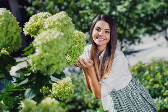 Photo of sweet adorable girl toothy smile arms touch flowers tree summertime harmony downtown outside