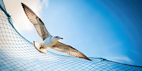 Abstract background. White bird flying in the blue sky with the morning sun and a net behind it in...