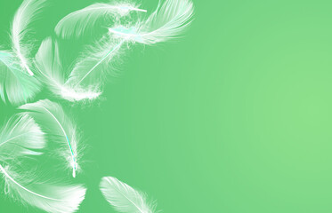 Fluffy bird feathers in air on green background, space for text