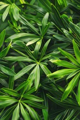 Close up of a bunch of green plants. Suitable for nature and gardening themes