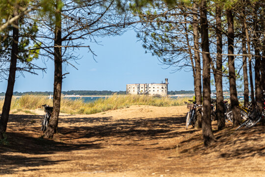 Vue sur le Fort Boyard en France depuis la for&ecirc;t avec des v&eacute;los