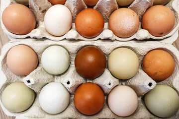 Naturally Multicolored Chicken Eggs in Carton 