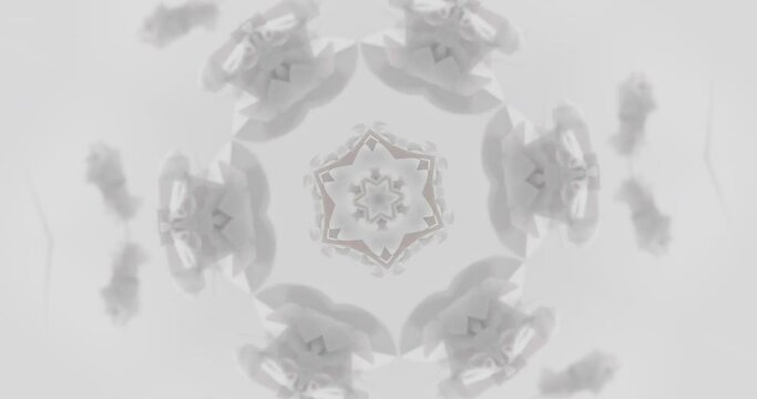 Kaleidoscope white rosette pattern