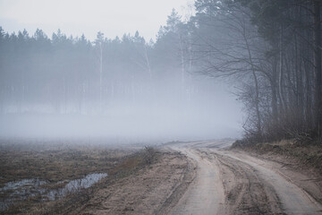 Mysterious sandy dirt road covered with heavy fog through Latvia forest
