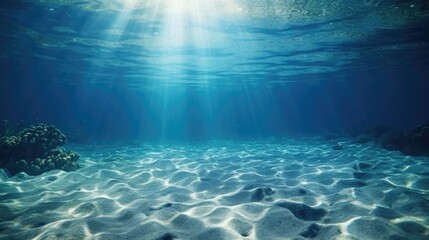 Fototapeta na wymiar A view of the sandy ocean floor, perfect for marine themes