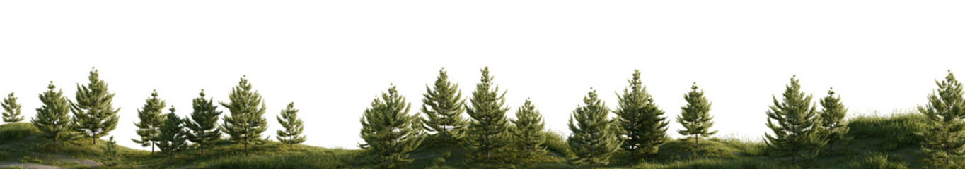 Obraz premium Green Trees in Tranquil Forest Landscape. 3D rendering. 