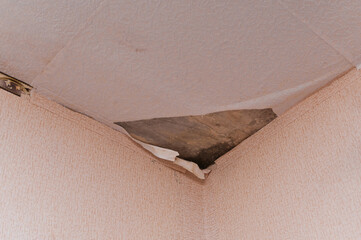 mold on the ceiling. due to the dampness, mold formed and the wallpaper peeled off