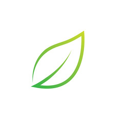 Green leaf logo design.