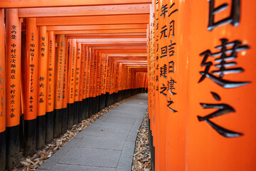 Red Torii gates at Fushimi Inari shrine in Kyoto, Japan. - 747460043