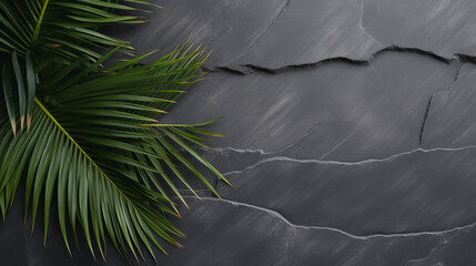 Dark spa background, moisturizing concept, palm leaves and black stones on a dark surface, top view