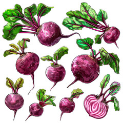 Cluster of Purple Radishes With Green Leaves