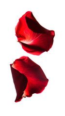 Two Red Rose Petals on White Background
