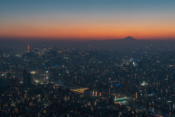 Aerial view of Tokyo cityscape at dusk, Japan.