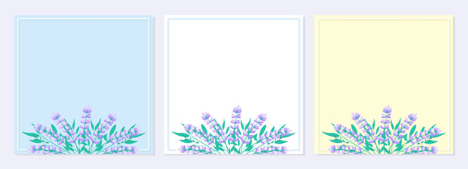 Set of banners with flowers and leaves. Lavender flowers. Invitation, greeting card, template, poster, background. Elegant herbal vector illustration.