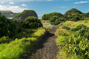 Weg entlang der Küste bei Bethells Beach, Auckland, Nordinsel, Neuseeland