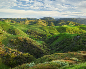 Küste nahe Cape Farewell, Tasman, Südinsel, Neuseeland, Ozeanien