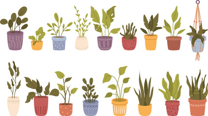 set of house plant vector illustration