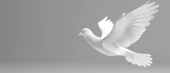 a white bird flying through the air with it's wings spread out and it's head turned to the side.
