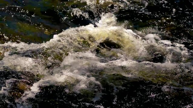 Rushing water through a small stream after a winter melt