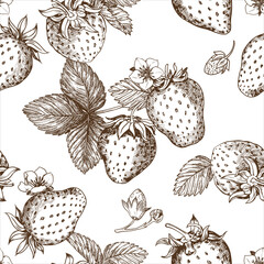 Sketch of strawberry pattern. Berries, flowers, branches and leaves on a white background. Vector
