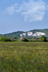 Walking in East Sussex, England, in spring, flower meadows and chalk cliffs