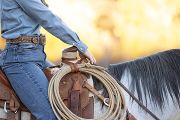 closeup details of Cowgirl tool on a saddle with a rope - obrazy, fototapety, plakaty