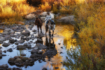 Wyoming Cowgirl in a rocky stream riding a grey horse in the fall working at a ranch leading a horse