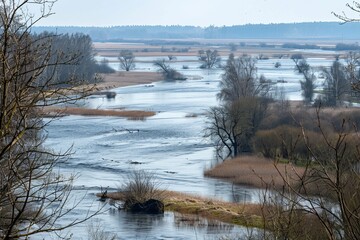 A serene view of a flooded grassland with scattered trees and a distant forest under a cloudy sky.