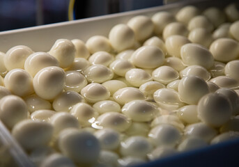 quail egg in market display