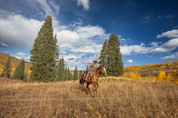 Colorado Cowboy running on a horse in the Mountains in Autumn and dog