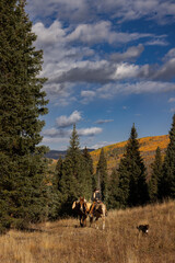 Colorado Cowgirl Outfitter in the Mountains Autumn