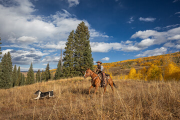Colorado Cowboy running on a horse in the Mountains in Autumn and dog