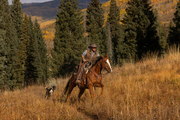 Colorado Cowboy running on a horse in the Mountains in Autumn and dog