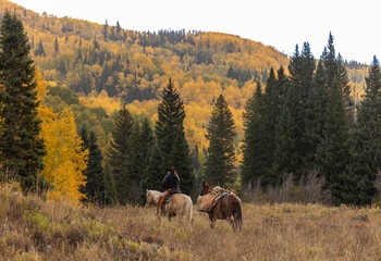 Colorado Outfitters