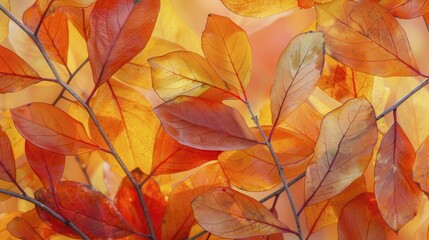 A close-up of intertwined orange and yellow leaves, a natural mosaic of autumn's palette.