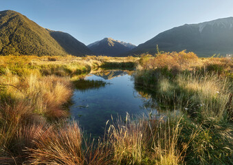 Waimakariri Valley, Arthur's Pass Nationalpark, Canterbury, Südinsel, Neuseeland, Ozeanien