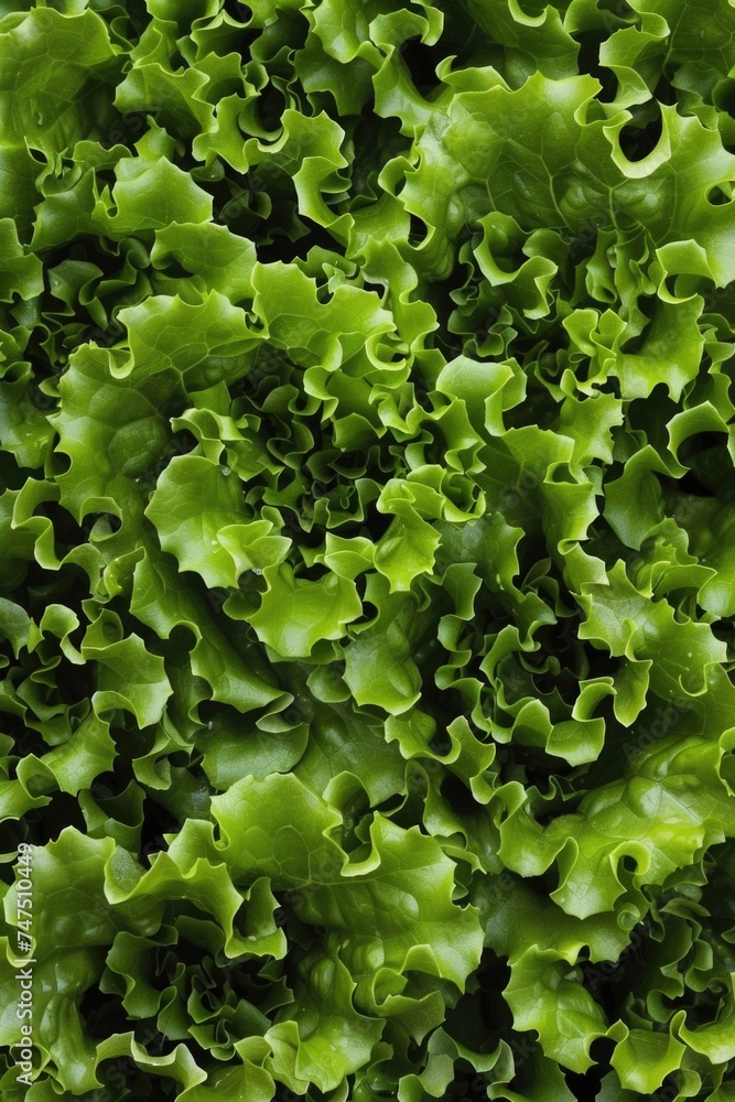 Poster a close-up view of a bunch of fresh lettuce. perfect for healthy eating concepts