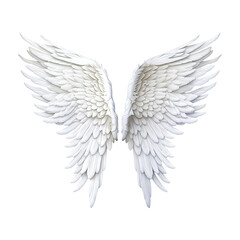 angel wings isolated on white background
