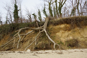 Ostseestrand