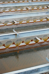 Lamella clarifier in a drinking water plant