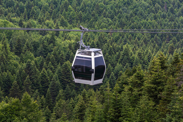 Uludag funicular cable car over the forest at the mountainside. Pine forest, top view. Bursa, Turkiye (Turkey) © Elena