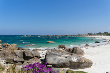 Plage de sable blanc parsemée d'énormes galets sur une plage du Finistère nord, bordée de...
