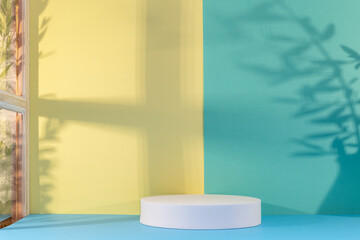 Fond avec un podium vide pour création d'arrière plan de couleurs jaune, bleu et vert avec un jeu d'ombre d'une fenêtre et de branches.	